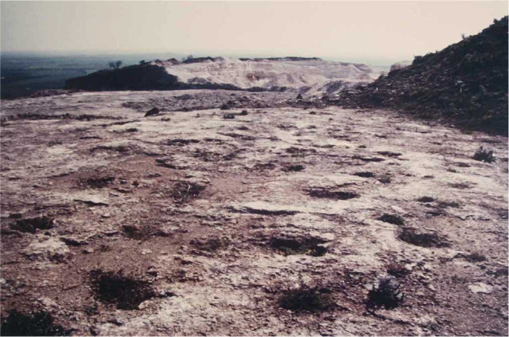 Poggio Olivastro, Canino; Lo scavo dell’abitato neolitico.